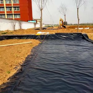長興牌土工膜完工現場